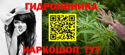 прущие грибы Балахна