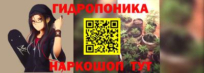 прущие грибы Балахна