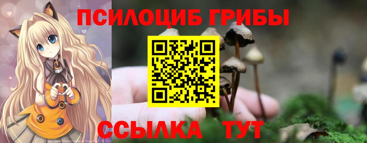 Псилоцибиновые грибы прущие грибы Гай