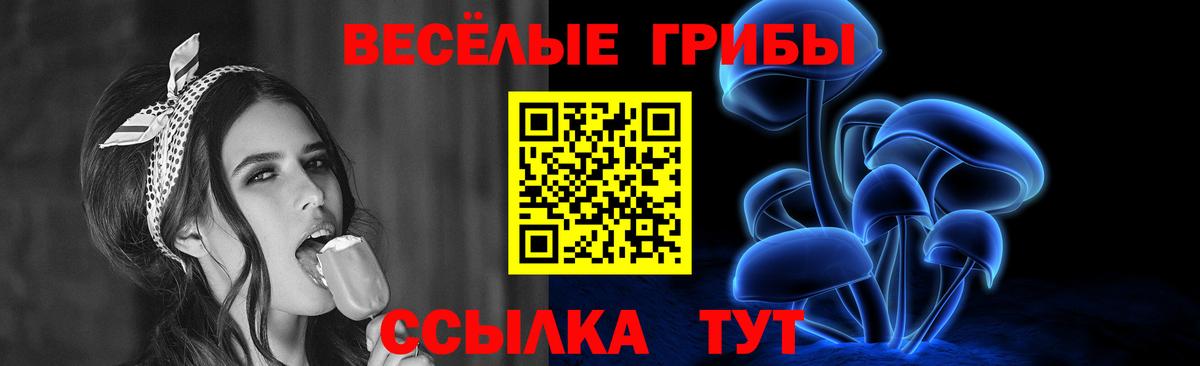 Псилоцибиновые грибы MAGIC MUSHROOMS  Вход с VPN  Гай  Галлюциногенные грибы Psilocybine cubensis 